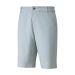 Golf Tech 2.0 Shorts Herre Grå